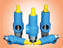 Safety Release Valve